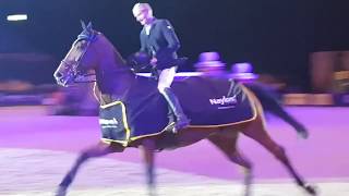 WINNER OF HOYS 2017  Padraic Judges Puissance Lap of Honour [upl. by Thayer780]