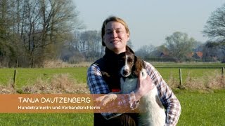 Basisausbildung für den brauchbaren Jagdhund quotSitz und Platzquot [upl. by Tanya]