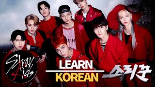 Learn Korean with Stray Kids Thunderous in 13 minutes [upl. by Tabber]