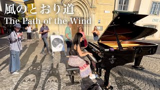 Yukis Magical Street Piano Performance Of quotpath Of The Windquot From My Neighbor Totoro [upl. by Sleinad]