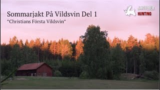 JAKTFEBER Sommarjakt På Vildsvin Del 1 [upl. by Evanthe]