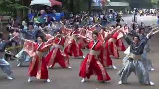 東京よさこい なな丸隊 「向日葵」／イチョウ並木パレード会場Ⅱ／第8回よさこい祭り in 光が丘2014（二日目） [upl. by Etram]