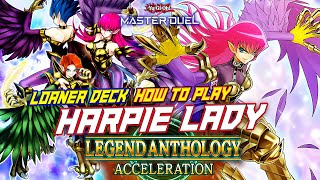 MASTER DUEL  HOW TO PLAY  LOANER DECK HARPIE LADY NEW EVENT LEGEND ANTHOLOGY ACCELERATION [upl. by Nirrek]