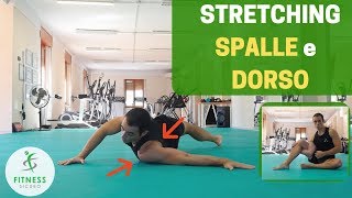 Esercizi di STRETCHING per le SPALLE e per il DORSO [upl. by Hymie]