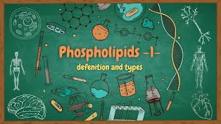 lipids 9 Phospholipids types glycerophospholipids amp sphingolipids  الدهون الفوسفورية بالعربي [upl. by Maximo]