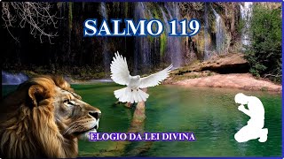 PALAVRA DE YAUH SALMO 119  ELOGIO DA LEI DIVINA [upl. by Etan156]