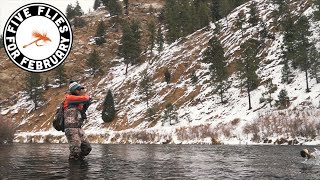 Five Flies for February 2020  Fly Fishing the South Platte near Deckers [upl. by Arjun]