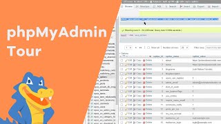 phpMyAdmin Tour and Beginners Guide  HostGator Tutorial [upl. by Lacagnia447]