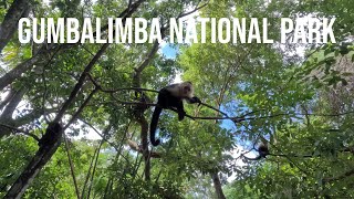 Hiking Ziplining amp Exotic Wildlife in Gumbalimba National Park  Roatan Honduras 4K [upl. by Shaum]