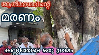 ഒരു ഗ്രാമത്തിന്റെ കണ്ണീർ ഈ ആൽമരത്തിനു സംഭവിച്ചത് കണ്ടോ Tree Doctor malayalam [upl. by Fronnia]