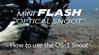 How to use the OS1 Optical Snoot amp Backscatter MF1 Mini Flash [upl. by Ferino]