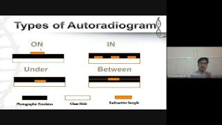 Autoradiography [upl. by Aihsei185]