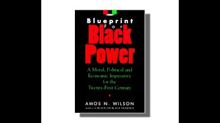 Blueprint for Black Power What is Power Chapter 1 [upl. by Anitsud575]