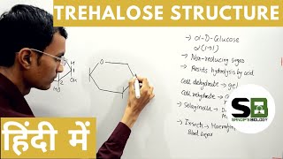 Trehalose structure in Hindi [upl. by Bourque]