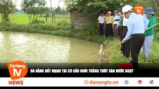 ĐÀ NẴNG ĐẨY MẠNH TÁI CƠ CẤU NUÔI TRỒNG THỦY SẢN NƯỚC NGỌT [upl. by Eimyaj]