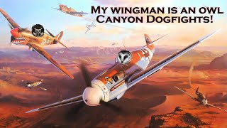 Owls Fly Together Canyon Dogfights War Thunder [upl. by Ocinom538]