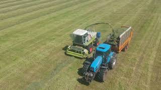 Gras Hakselen met Claas Jaguar 690 [upl. by Annabela408]