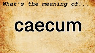 Caecum Meaning  Definition of Caecum [upl. by Rihana]