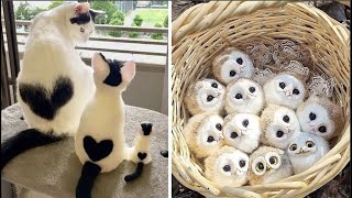 Cute Baby Animals Videos Compilation  Funny and Cute Moment of the Animals 31  Cutest Animals [upl. by Nine]