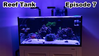 Innovative Marine 50 lagoon  Tank update Ep 7 [upl. by Neelloc703]