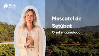 Moscatel de setubal o sol engarrafado [upl. by Eilitan]