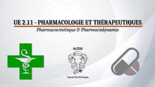 UE 211 S1  Pharmacocinétique et Pharmacodynamie [upl. by Nivlad]