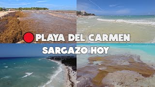 PLAYA DEL CARMEN🔴ULTIMA HORA HOY 14 MAYO 2024  ASI ESTAN LAS PLAYAS [upl. by Moitoso234]