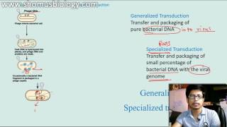 Generalized transduction vs Specialized Transduction [upl. by Hazard]