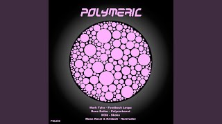 Polycarbonat Original Mix [upl. by Hamfurd339]