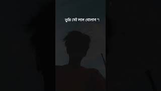 Srotoshini Lyrics Lofi 🖤🦋  ENCORE  Lyrics  স্রোতস্বিনী ✨ fypシ lyrics music hitsong [upl. by Adnamas]