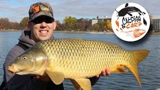 How to catch carp  carp fishing tips and techniques  carp bait [upl. by Nitsirk]