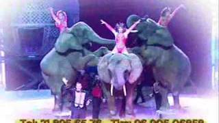 Circo Victor Hugo Cardinali  Natal 2009  Tv Spot Trailer [upl. by Ahsahs725]