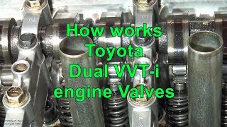 How works Toyota Dual VVTi engine Valves [upl. by Lleuqar]