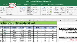 BUREAUTIQUE 04  EXCEL 2016  Le Filtre Automatique [upl. by Thisbe]