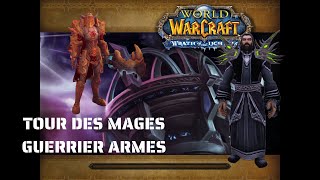 Tour des Mages 915  Guerrier Armes [upl. by Egamlat]