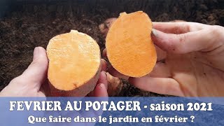 🔍Que faire dans le jardin POTAGER en FEVRIER [upl. by Kwang58]