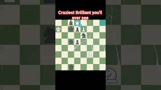 Brilliant Move Thats Actually Brilliant  chess [upl. by Aicilet]