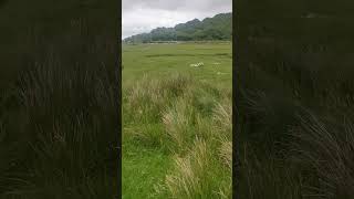 Mystical Places of Ireland  Killadangan Stone Circle [upl. by Gayel]