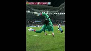 Impossible Goalkeeper Saves [upl. by Erdnaid]