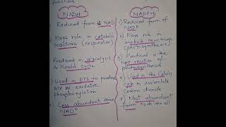 NADH Vs NADPH neet coenzymes [upl. by Ahsinet]