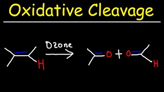 Oxidative Cleavage of Alkenes  KMnO4 and Ozonolysis [upl. by Lindi]