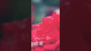 Sagar me tarang h ❤️video song ytshortshorts [upl. by Luapsemaj249]