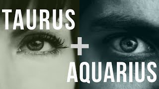 Taurus amp Aquarius Love Compatibility [upl. by Eiramrefinnej]