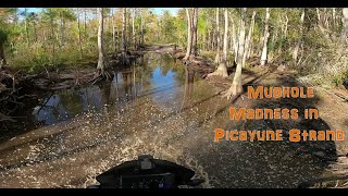 Swamp Ridin thru Picayune Strand Mudhole Madness [upl. by Isiad]