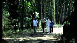 Infra Verandah Gardens WalkthroughRetirement Homes in Kerala [upl. by Acirred]