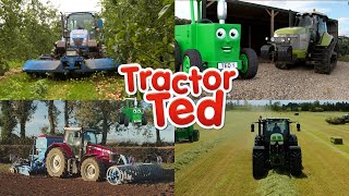 Big Machines Compilation 🚜  Tractor Ted Big Machines  Tractor Ted Official Channel [upl. by Meri952]