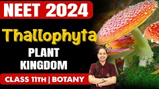 THALLOPHYTA  Plant Kingdom  Botany  NEET 2024  Class 11th Biology neet2024 botany [upl. by Ylrebmek]