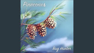 Pinecones [upl. by Shelah571]