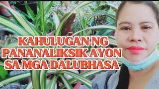 KAHULUGAN NG PANANALIKSIK AYON SA MGA DALUBHASA [upl. by Granlund647]