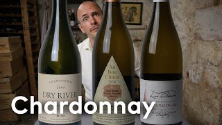 CHARDONNAY  WINE IN 10 [upl. by Hras]